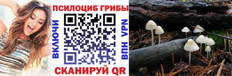 Псилоцибиновые грибы Psilocybe  Добрянка 